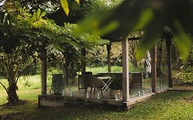 Palm Grove Rainforest Retreat